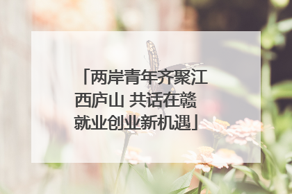 两岸青年齐聚江西庐山 共话在赣就业创业新机遇