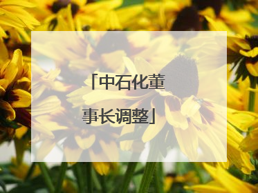 中石化董事长调整