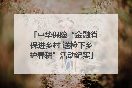 中华保险“金融消保进乡村 送检下乡护春耕”活动纪实