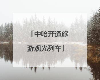 中哈开通旅游观光列车