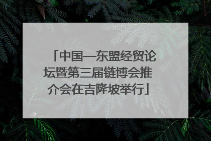 中国—东盟经贸论坛暨第三届链博会推介会在吉隆坡举行