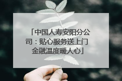 中国人寿安阳分公司：贴心服务送上门 金融温度暖人心