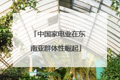 中国家电业在东南亚群体性崛起
