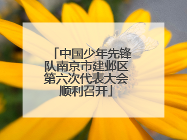 中国少年先锋队南京市建邺区第六次代表大会顺利召开