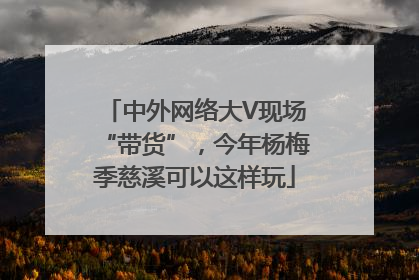 中外网络大V现场“带货”，今年杨梅季慈溪可以这样玩