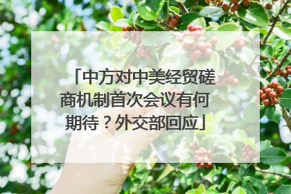 中方对中美经贸磋商机制首次会议有何期待？外交部回应