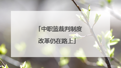 中职篮裁判制度改革仍在路上