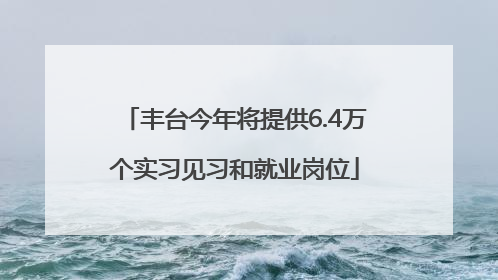 丰台今年将提供6.4万个实习见习和就业岗位