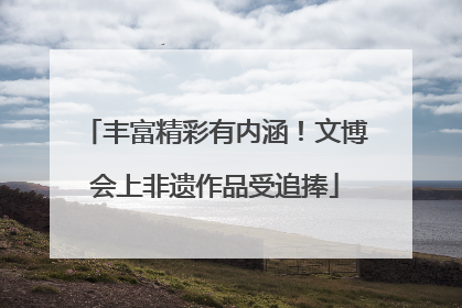 丰富精彩有内涵！文博会上非遗作品受追捧
