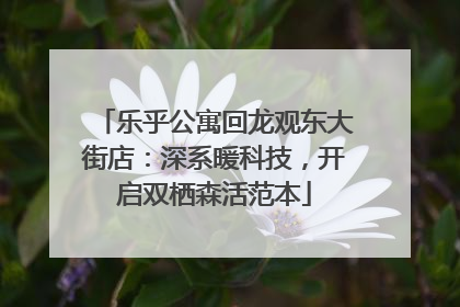 乐乎公寓回龙观东大街店：深系暖科技，开启双栖森活范本