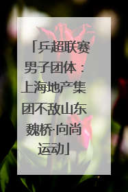 乒超联赛男子团体：上海地产集团不敌山东魏桥·向尚运动