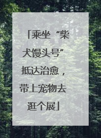乘坐“柴犬馒头号”抵达治愈，带上宠物去逛个展