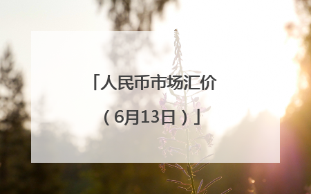 人民币市场汇价（6月13日）