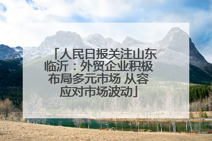 人民日报关注山东临沂：外贸企业积极布局多元市场 从容应对市场波动