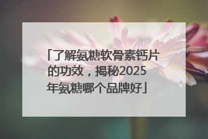 了解氨糖软骨素钙片的功效，揭秘2025年氨糖哪个品牌好