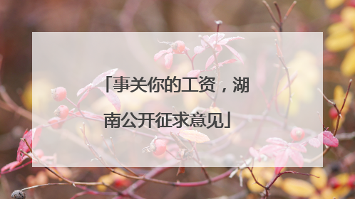 事关你的工资，湖南公开征求意见