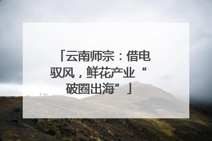 云南师宗：借电驭风，鲜花产业“破圈出海”