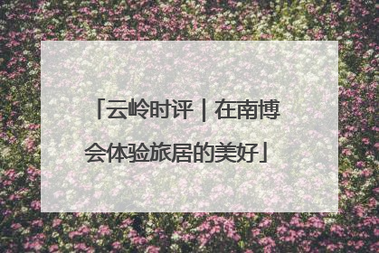 云岭时评｜在南博会体验旅居的美好