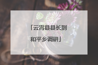 云霄县县长到和平乡调研