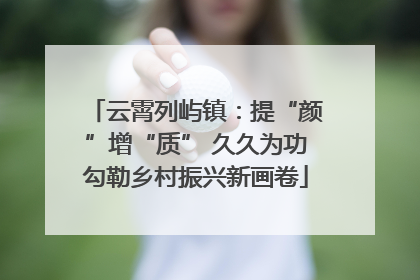 云霄列屿镇：提“颜”增“质” 久久为功勾勒乡村振兴新画卷