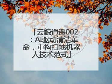 云鲸逍遥002：AI驱动清洁革命，重构扫地机器人技术范式