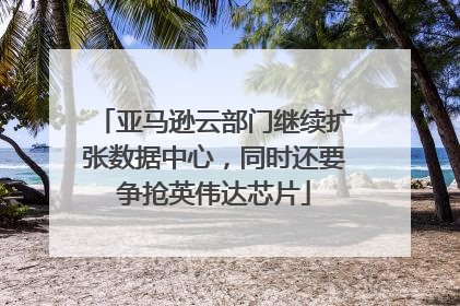 亚马逊云部门继续扩张数据中心，同时还要争抢英伟达芯片
