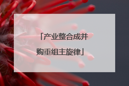 产业整合成并购重组主旋律