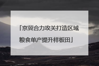 京冀合力攻关打造区域粮食单产提升样板田