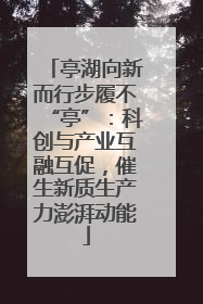 亭湖向新而行步履不“亭”：科创与产业互融互促，催生新质生产力澎湃动能