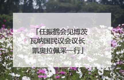 任振鹤会见博茨瓦纳国民议会议长凯奥拉佩采一行
