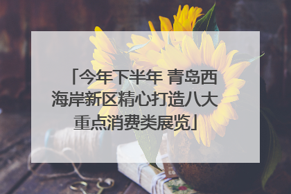 今年下半年 青岛西海岸新区精心打造八大重点消费类展览