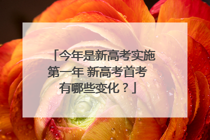 今年是新高考实施第一年 新高考首考有哪些变化？