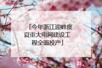 今年浙江迎峰度夏重大电网建设工程全面投产