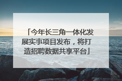 今年长三角一体化发展实事项目发布，将打造招聘数据共享平台