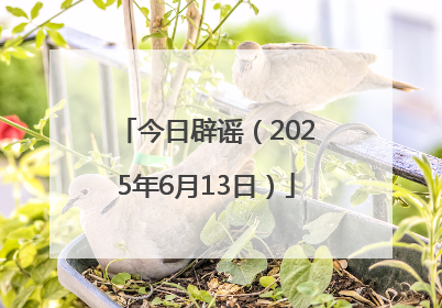 今日辟谣（2025年6月13日）