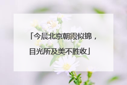 今晨北京朝霞似锦，目光所及美不胜收