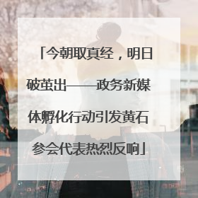 今朝取真经，明日破茧出——政务新媒体孵化行动引发黄石参会代表热烈反响