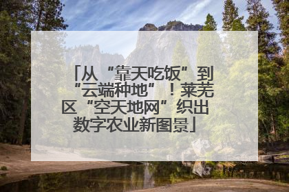 从“靠天吃饭”到“云端种地”！莱芜区“空天地网”织出数字农业新图景