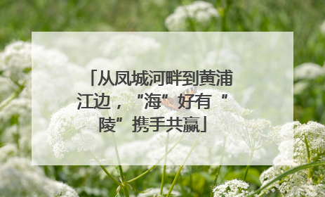 从凤城河畔到黄浦江边，“海”好有“陵”携手共赢