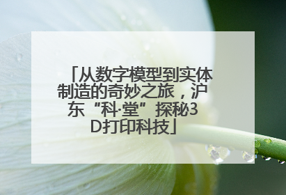 从数字模型到实体制造的奇妙之旅，沪东“科·堂”探秘3D打印科技