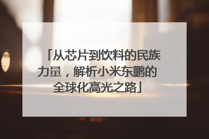 从芯片到饮料的民族力量，解析小米东鹏的全球化高光之路