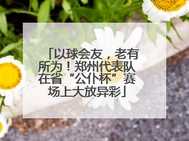 以球会友，老有所为！郑州代表队在省“公仆杯”赛场上大放异彩