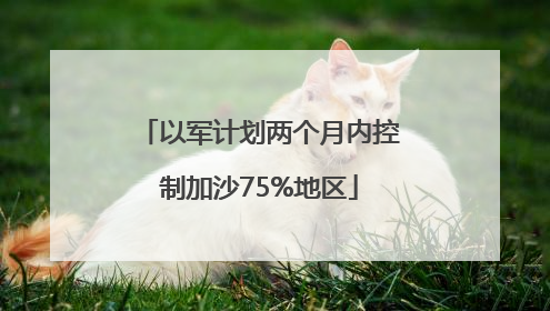 以军计划两个月内控制加沙75%地区