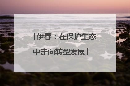 伊春：在保护生态中走向转型发展