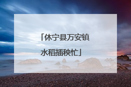休宁县万安镇水稻插秧忙