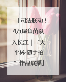 司法联动！4万尾鱼苗跃入长江｜“天平杯·随手拍”作品展播