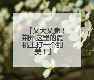 又大又脆！荆州这里的夏桃主打一个甜美！
