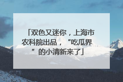 双色又迷你，上海市农科院出品，“吃瓜界”的小清新来了