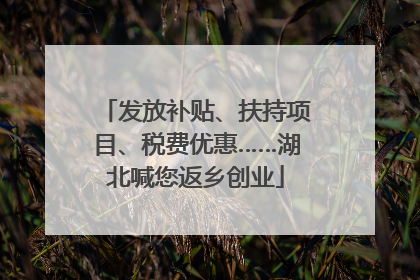 发放补贴、扶持项目、税费优惠……湖北喊您返乡创业