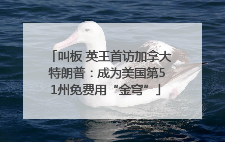 叫板 英王首访加拿大 特朗普：成为美国第51州免费用“金穹”